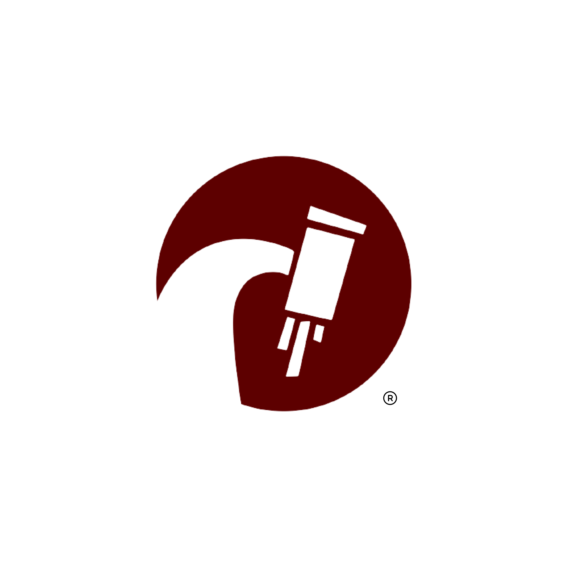 Macroscope Logo